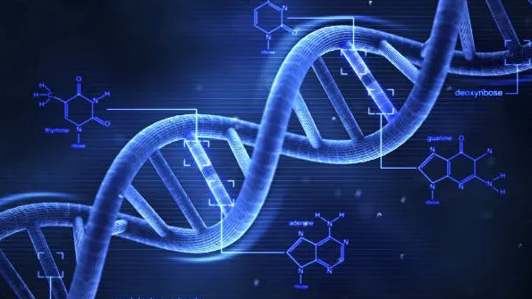 Image showing DNA structure
