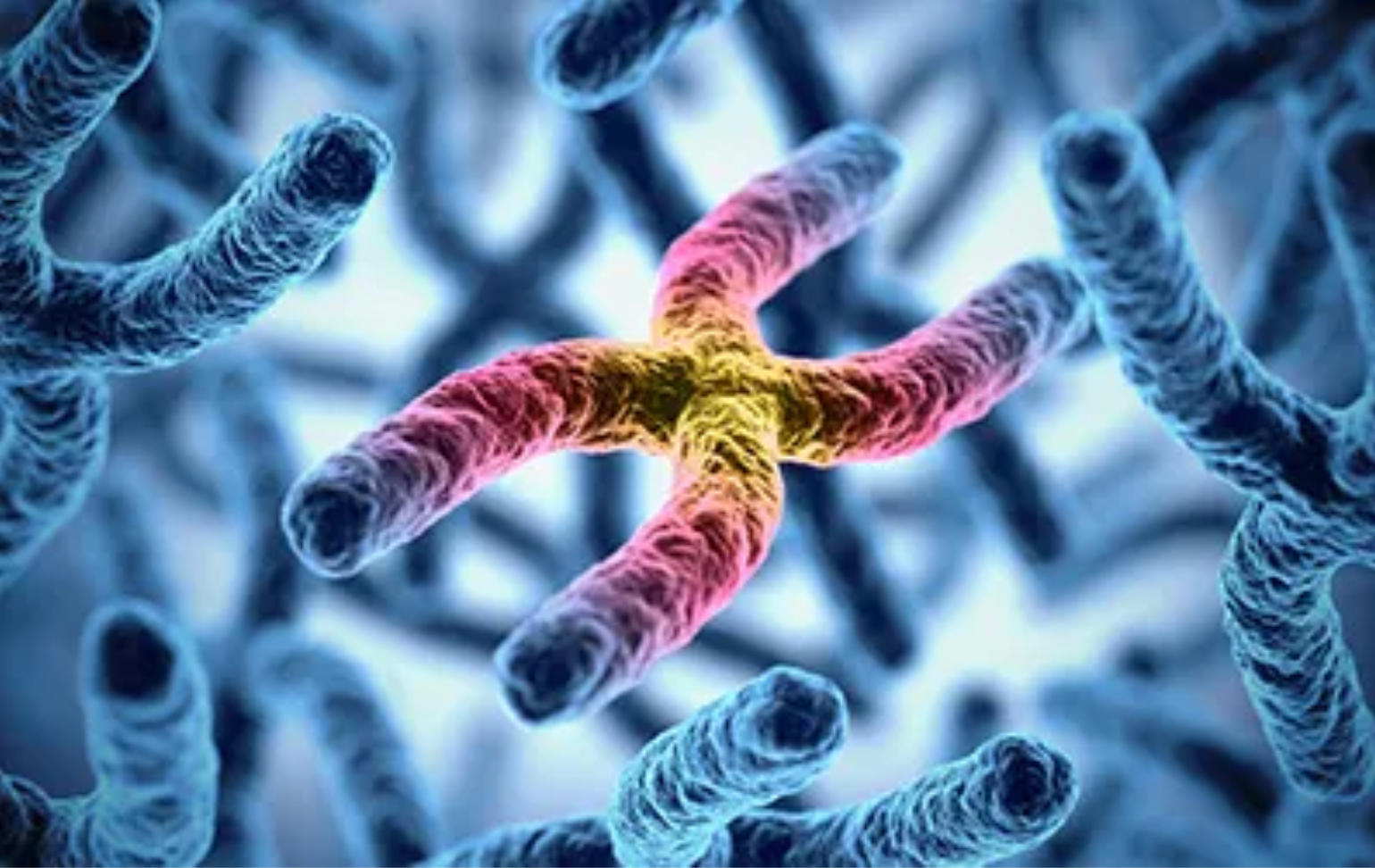 Image of DNA