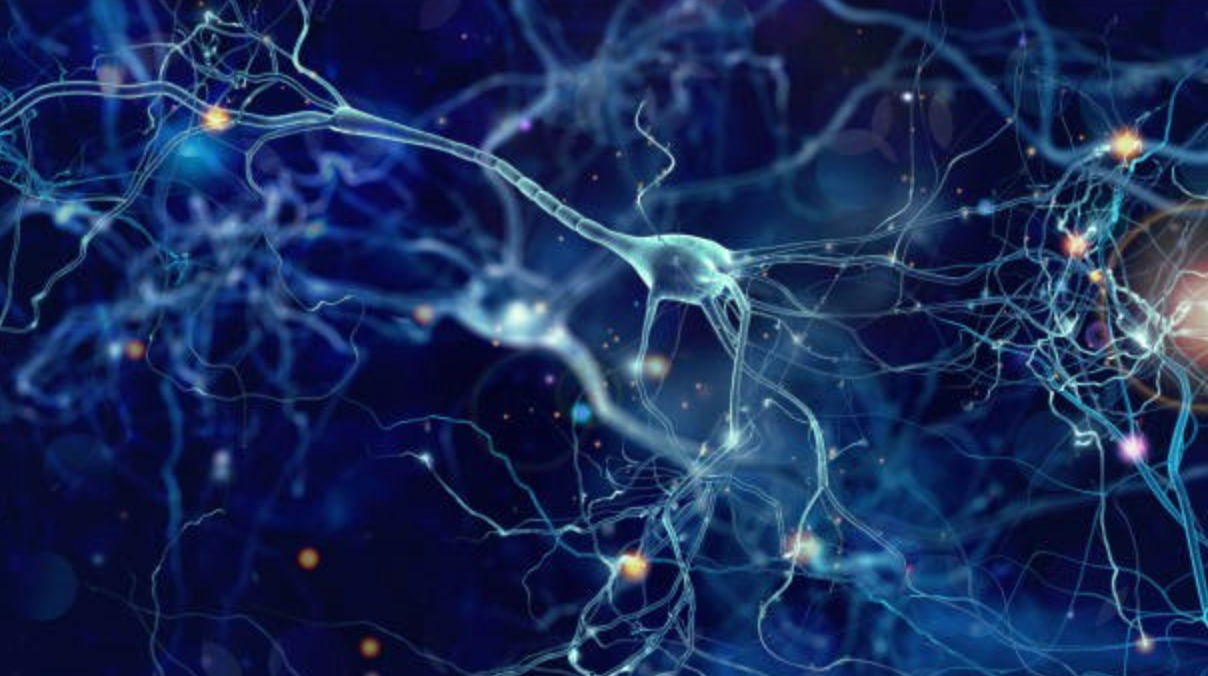 Exploring Huntington's Disease