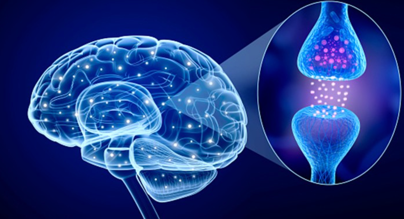 Parkinson’s Disease: A Closer Look
